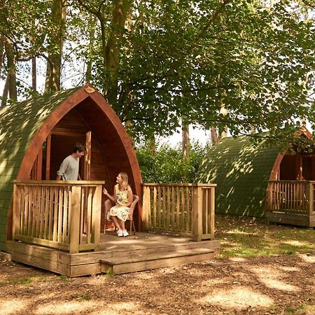 Pinewood - At Port Lympne Reserve Hythe  Luaran gambar