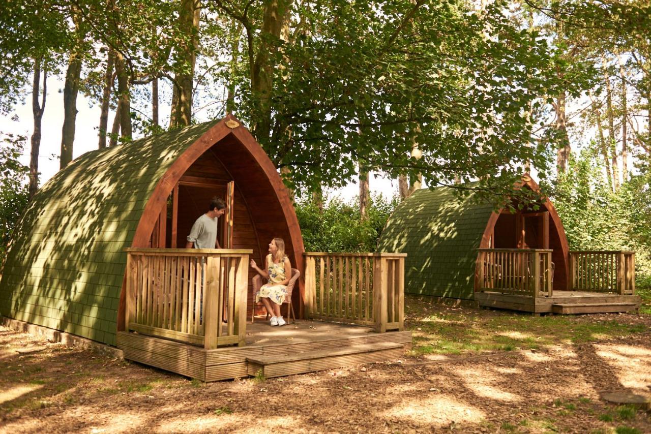 Pinewood - At Port Lympne Reserve Hythe  Luaran gambar