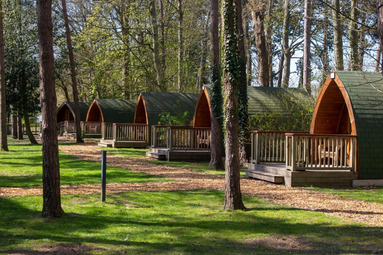 Pinewood - At Port Lympne Reserve Hythe  Luaran gambar